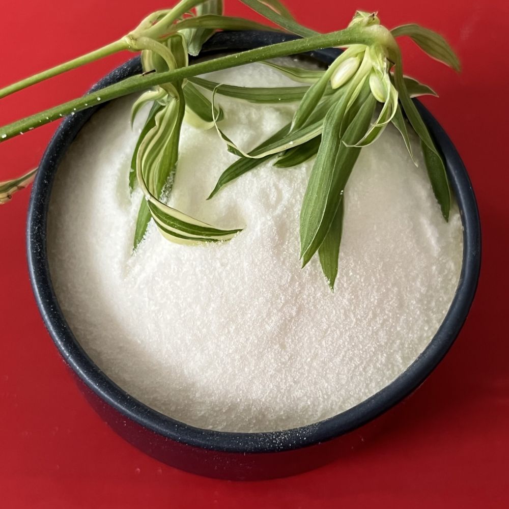 焦亚硫酸钠厂家——天振化工有限公司